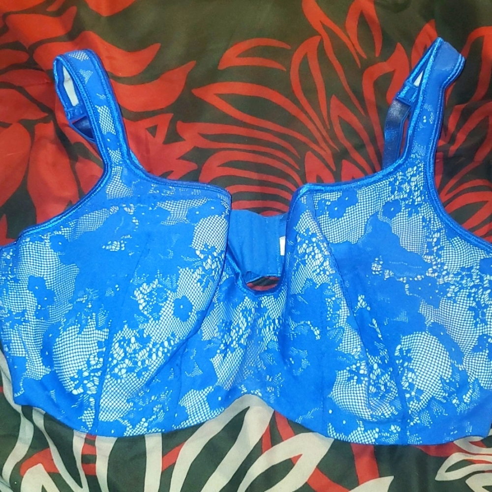 Cacique blue lace bra